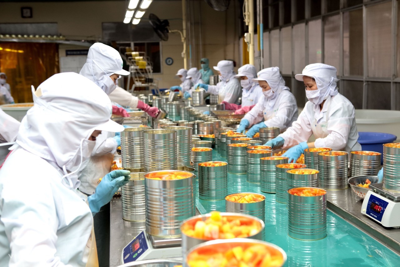 Perspectives positives pour les exportations dans un contexte de reprise du marché mondial