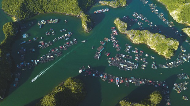La baie de Lan Ha, paradis des amoureux de la nature