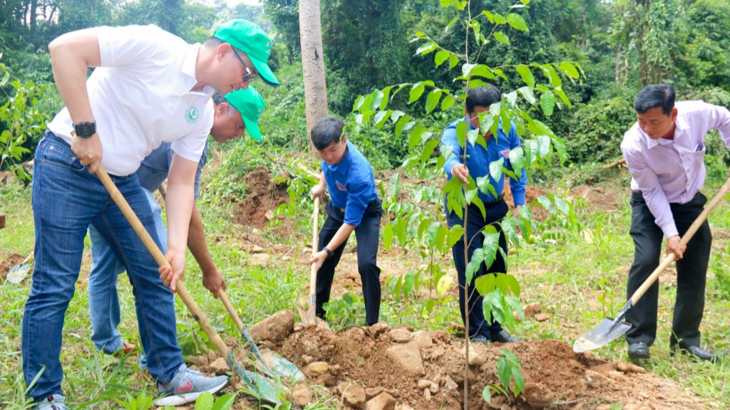 «Millions d arbres - Pour un Vietnam vert» 191 000 arbres plantés en 3 ans