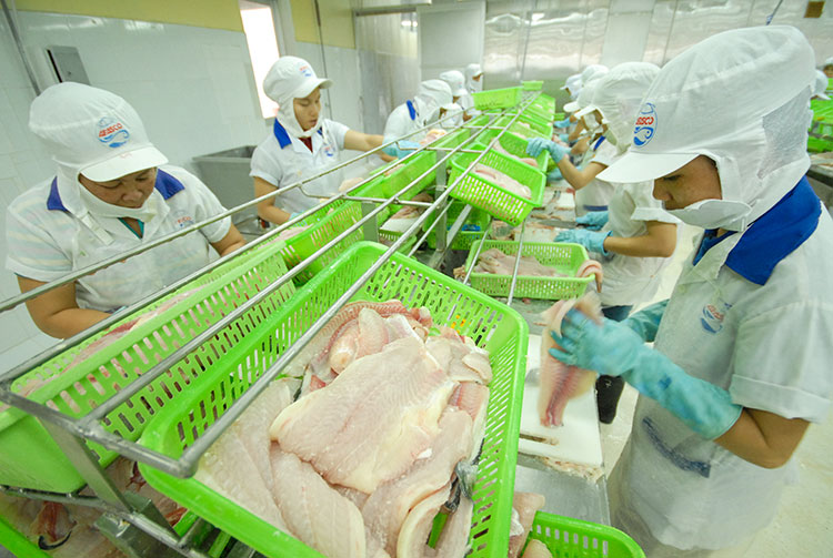 La valeur d’import-export des produits agro-sylvicoles et aquatiques en baisse de 5,9