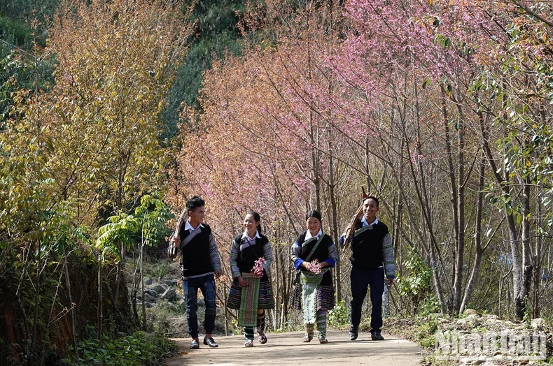 Un festival de spectacles de Khen du peuple H’Mong à Yen Bai