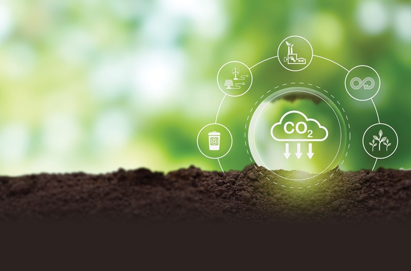 Le Vietnam collecte plus de 41 millions de dollars de crédits de carbone forestier