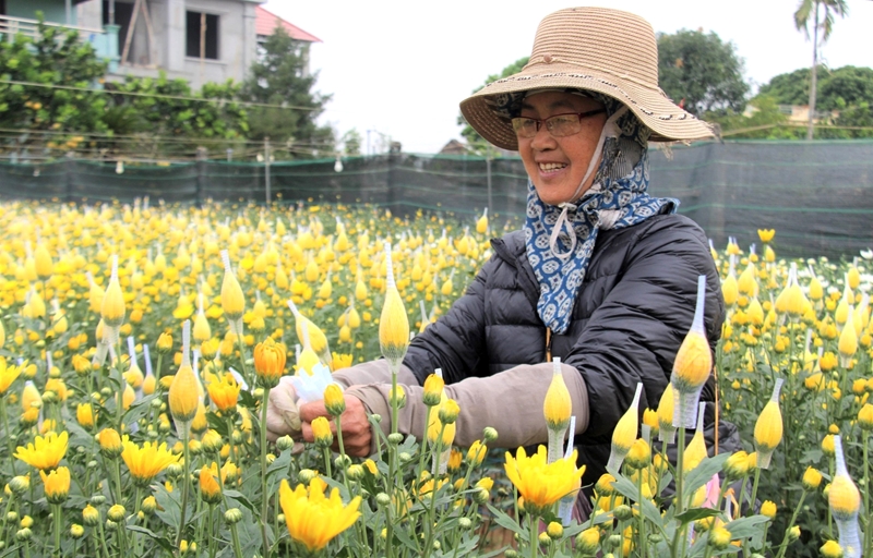 Le village horticole de My Tan est animé pendant la saison du Têt