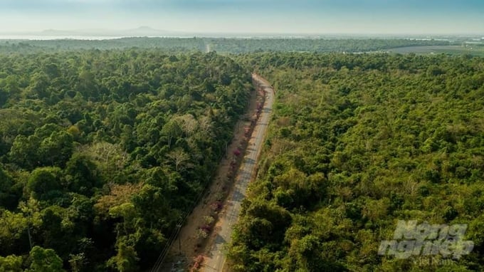 Près de 1 000 milliards de dongs pour développer l écotourisme à Dong Nai