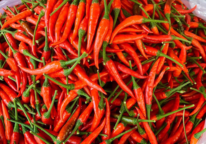 Forte croissance des exportations de piment