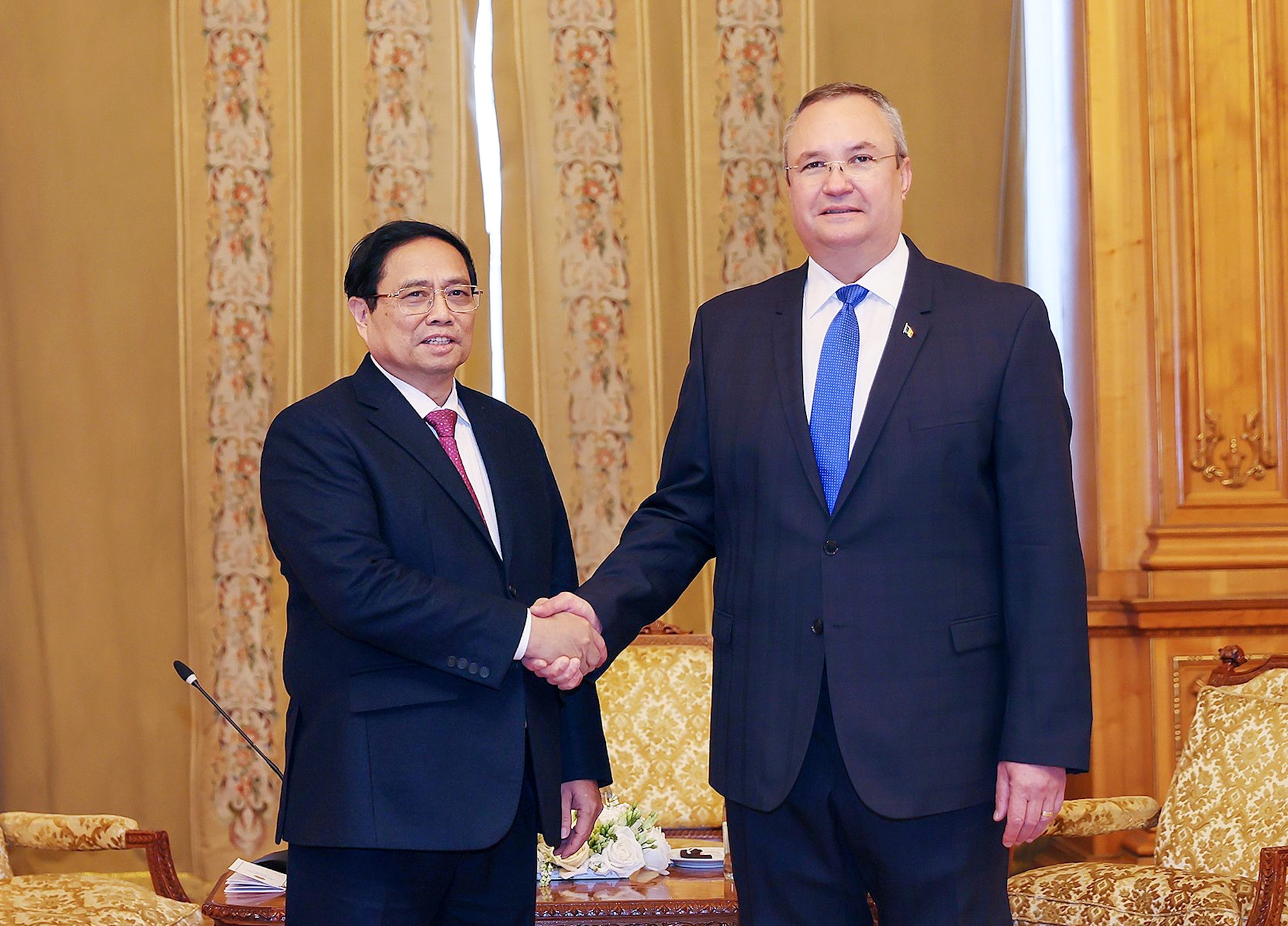 Le Premier ministre Pham Minh Chinh rencontre le président du Sénat roumain