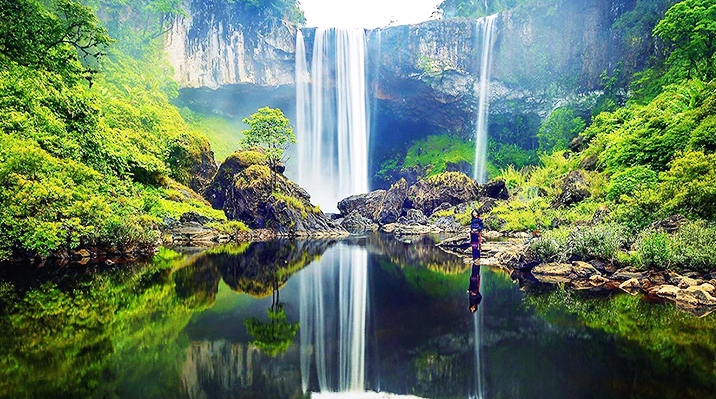 A la recherche de la grande fée de la forêt