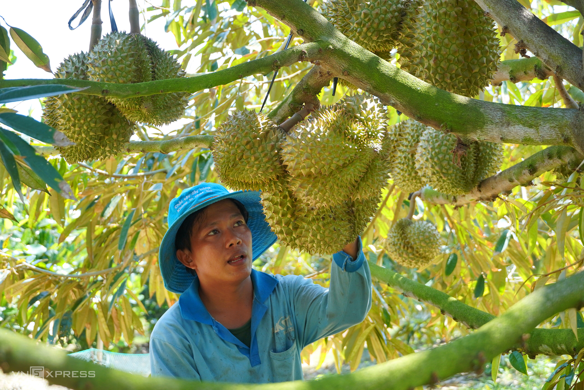 Les exportations de fruits et légumes en perspective en 2024