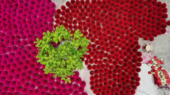 Un village de l encens centenaire de Hanoï à l honneur dans un média belge