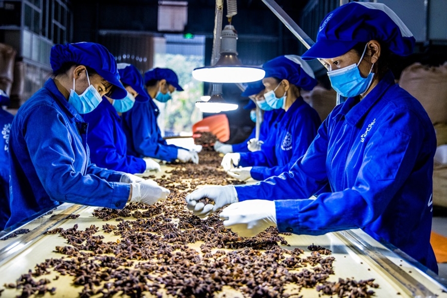 Libre-échange le CPTPP favorise les exportations de produits agricoles