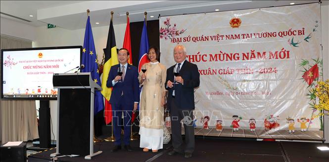 Têt Rencontres avec des Vietnamiens d’outre-mer en Belgique, au Luxembourg et aux Pays-Bas