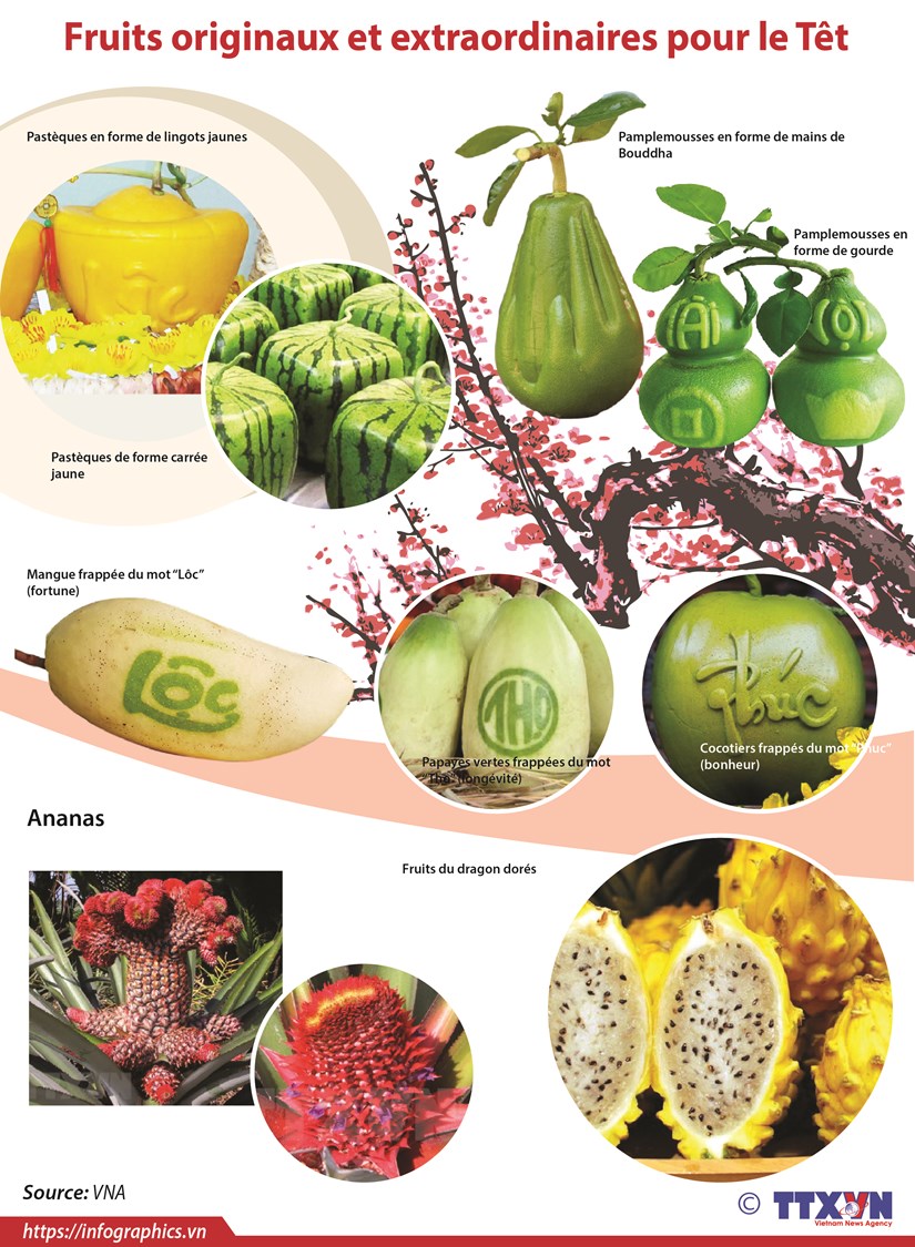 Fruits originaux et extraordinaires pour le Têt