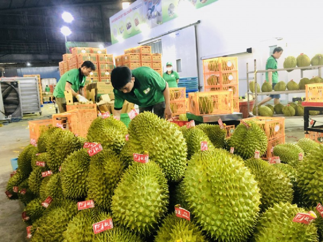 Les exportations de fruits ont la pêche en janvier