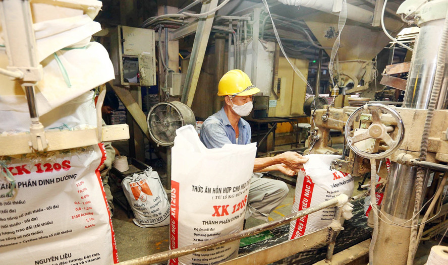 Alimentation animale Bond des exportations nationales en janvier