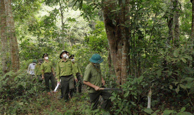 Un séminaire aborde les défis du développement forestier du Vietnam