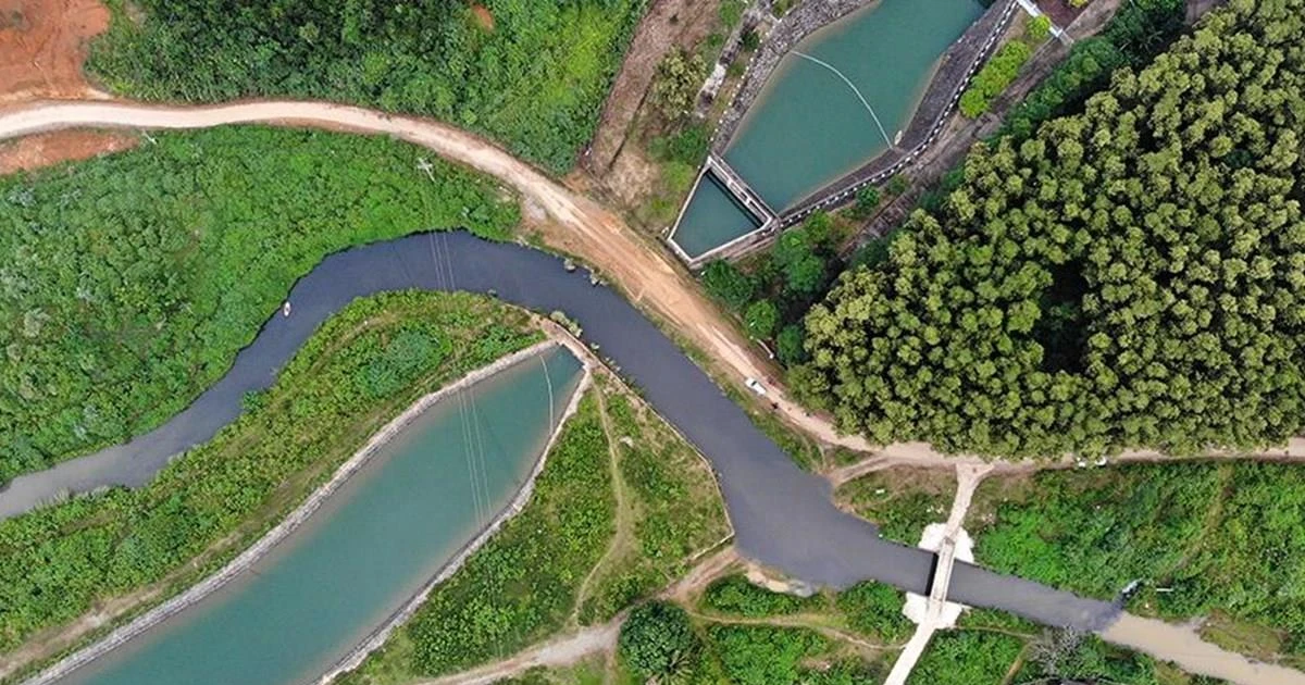 Journée internationale d action pour les rivières 2024 l eau pour tous