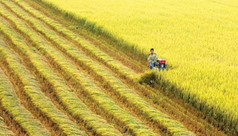 Les informations marquantes du 27 février