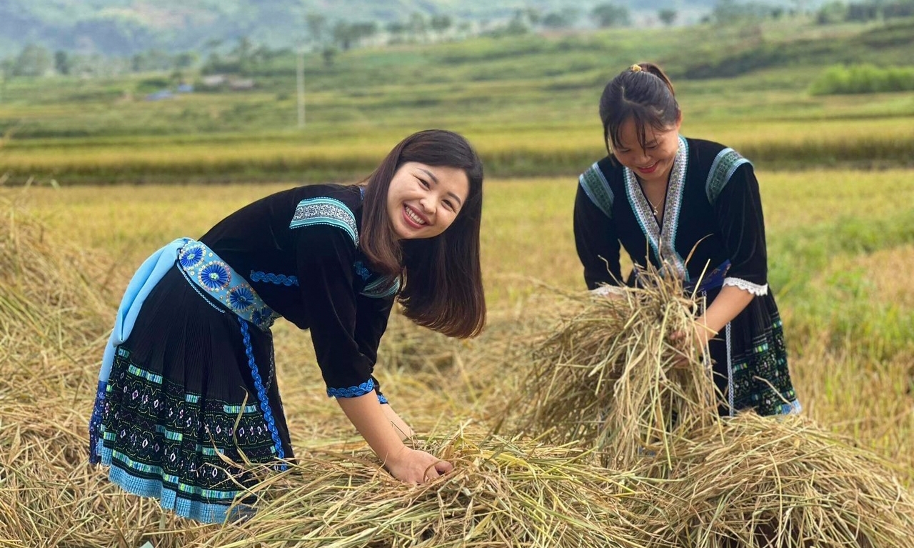 Le Vietnam grimpe dans le classement de l indice de développement humain