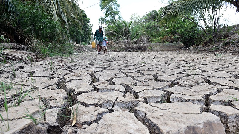 Soutenir le Vietnam dans ses efforts d’adaptation aux changements climatiques et de transition verte