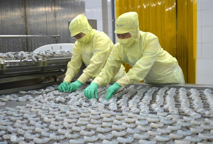 Les exportations de crevettes devraient atteindre 4 milliards de dollars en 2024