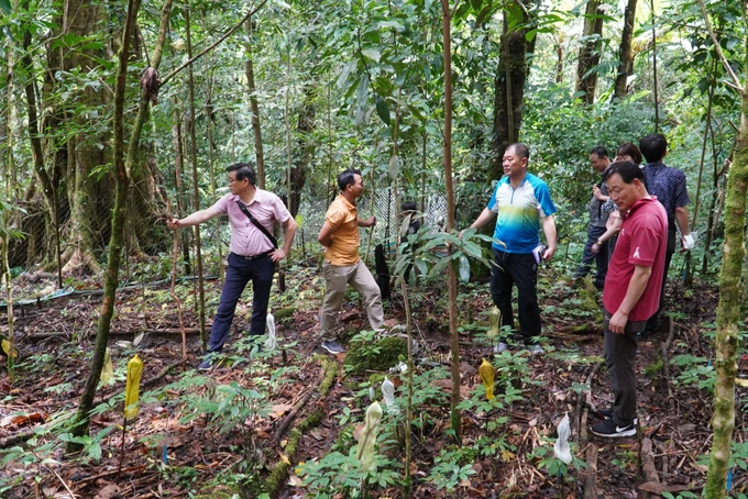 Une économie forestière florissante grâce au tourisme