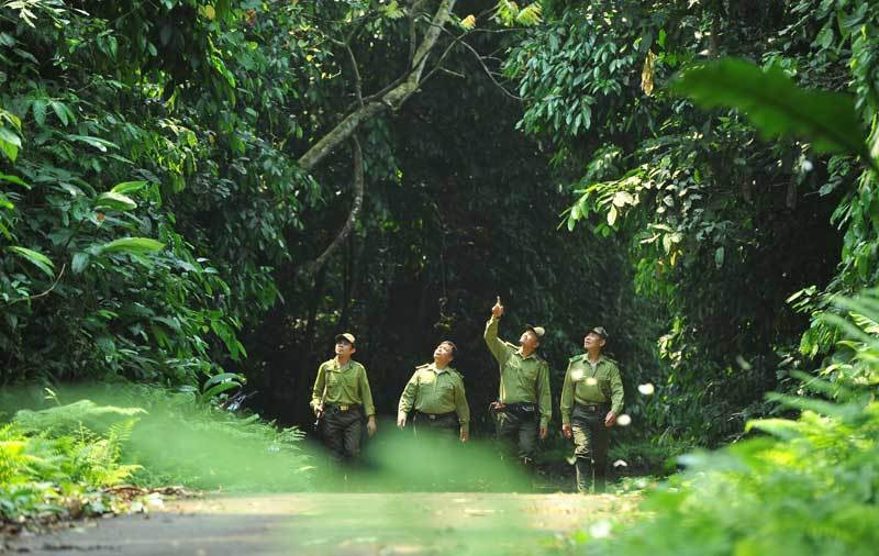 Le ministère de l Agriculture va mettre aux enchères 5,9 millions de tonnes de carbone