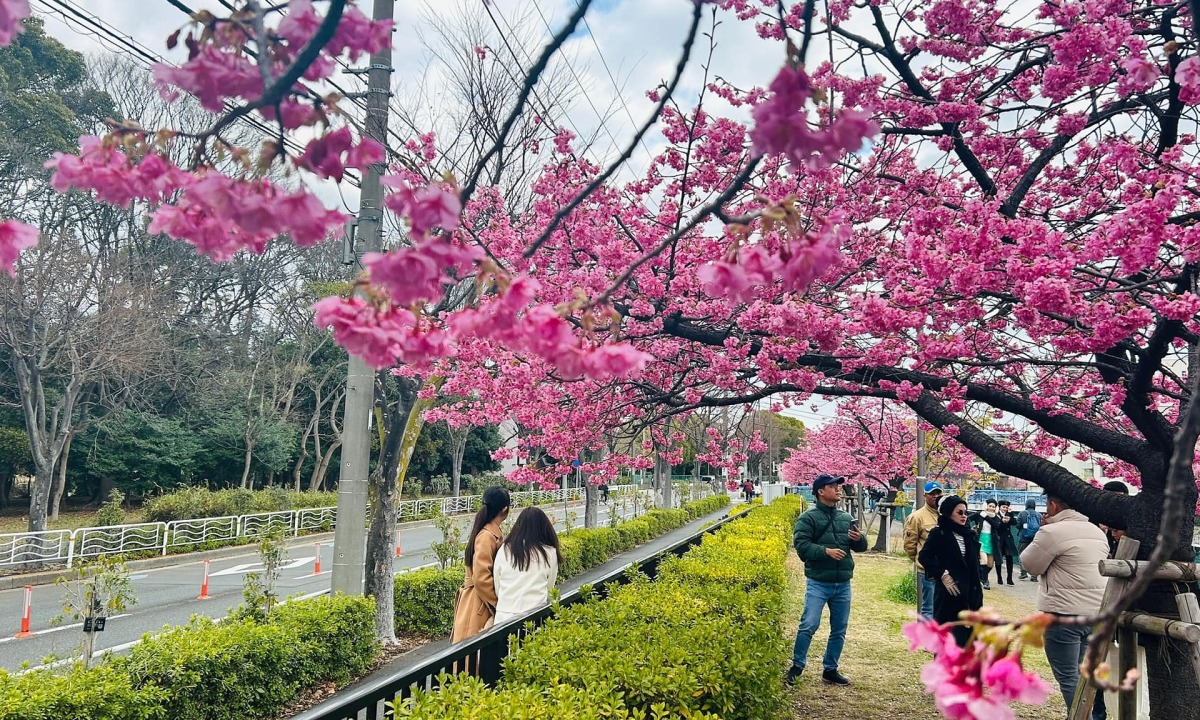 Le nombre de visiteurs vietnamiens au Japon en février atteint un nouveau record