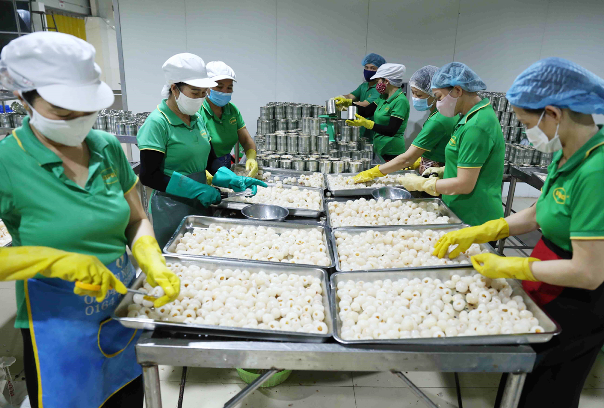 L’excédent commercial du secteur agricole double au 1er trimestre