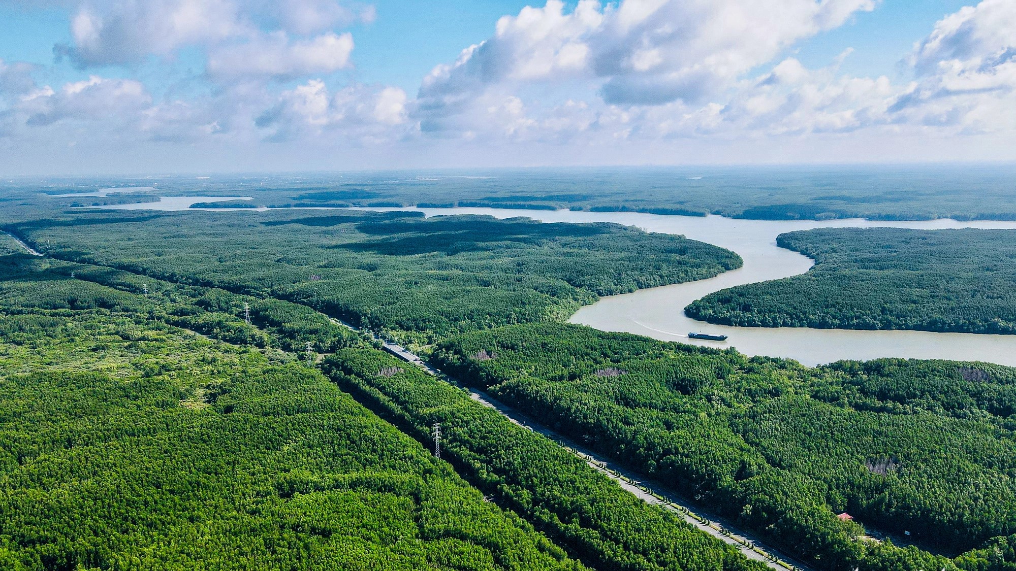 Le Vietnam déterminé à freiner l érosion de la biodiversité