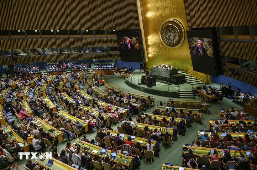 Le Vietnam et Cuba coopèrent étroitement dans d’importants processus de l’ONU
