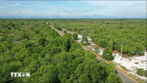 Huit localités côtières continuent à bénéficier d’un soutien pour moderniser le secteur forestier