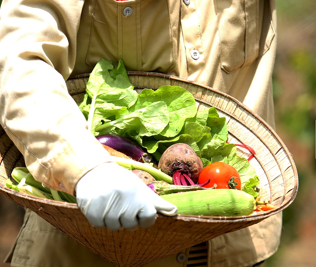 Les aliments vietnamiens en passe de conquérir le marché mondial