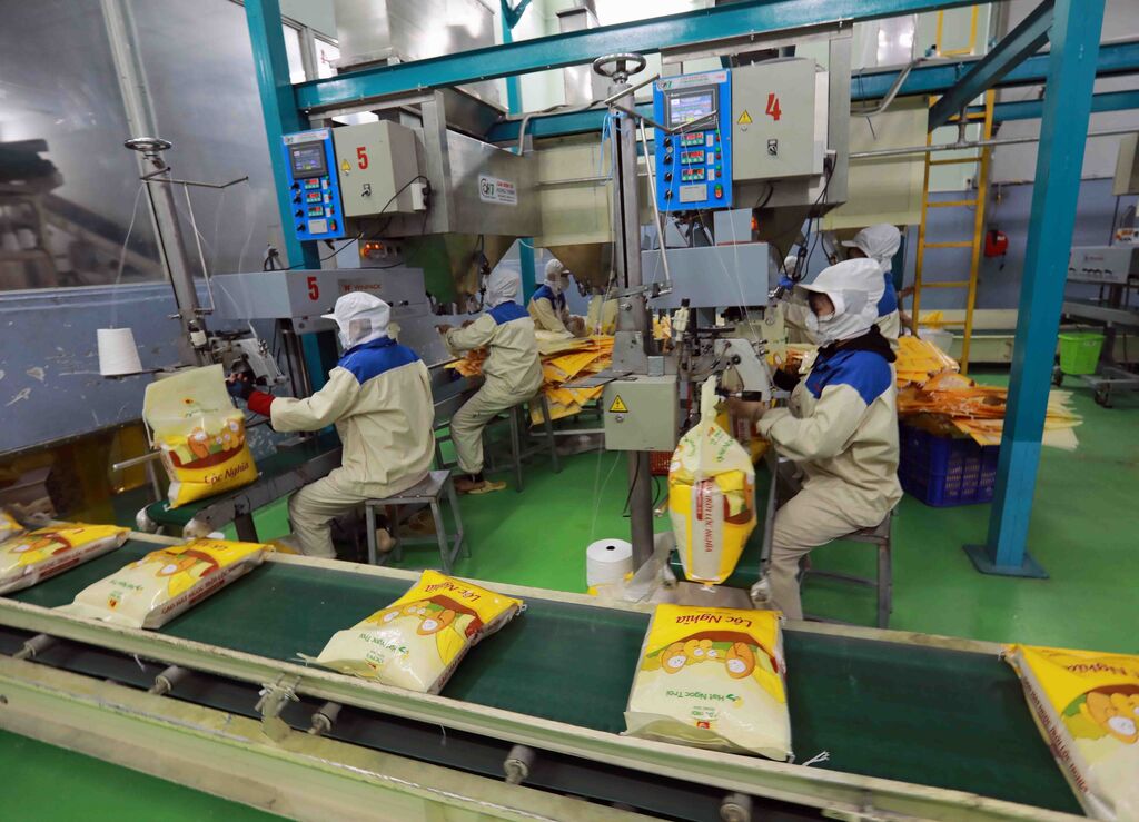 Le Vietnam devient le plus grand exportateur de riz vers Singapour au premier trimestre