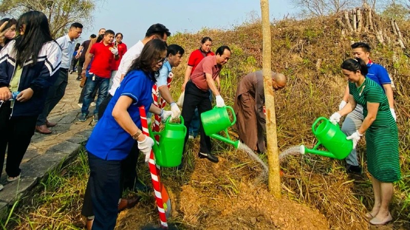 Les fleurs de bauhinie envahiront dans le complexe des vestiges de la bataille de Dien Bien Phu