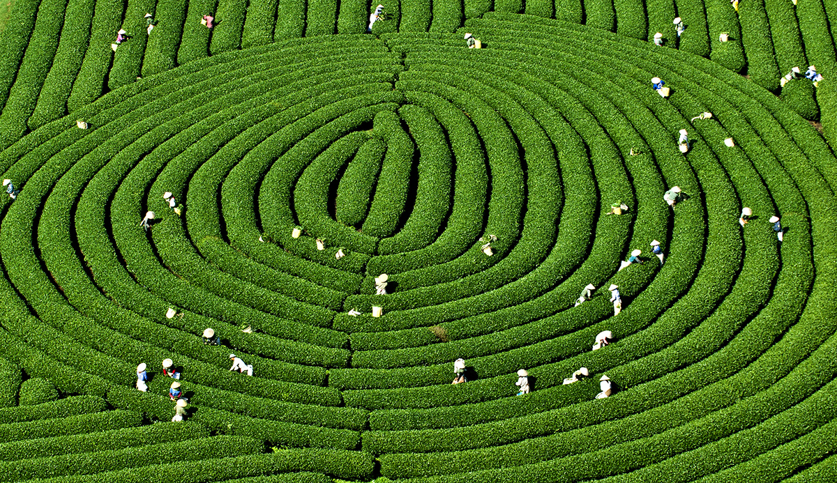 Moc Chau Son La reconnu site touristique national