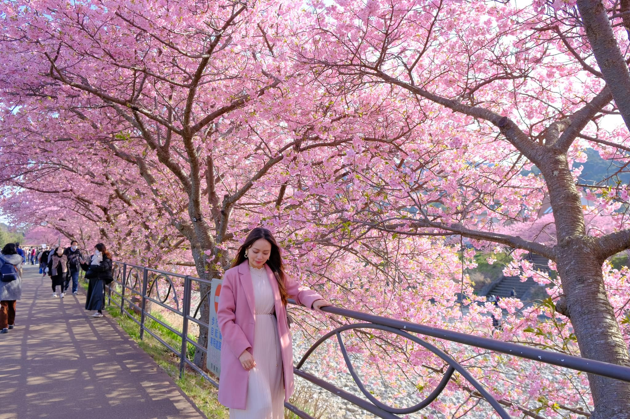 Le nombre de touristes vietnamiens au Japon établit un nouveau record