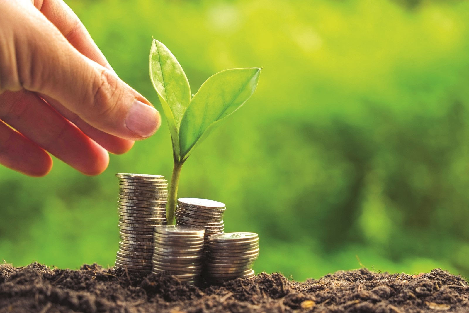 Libérer des capitaux d’investissement vert en Asie du Sud-Est