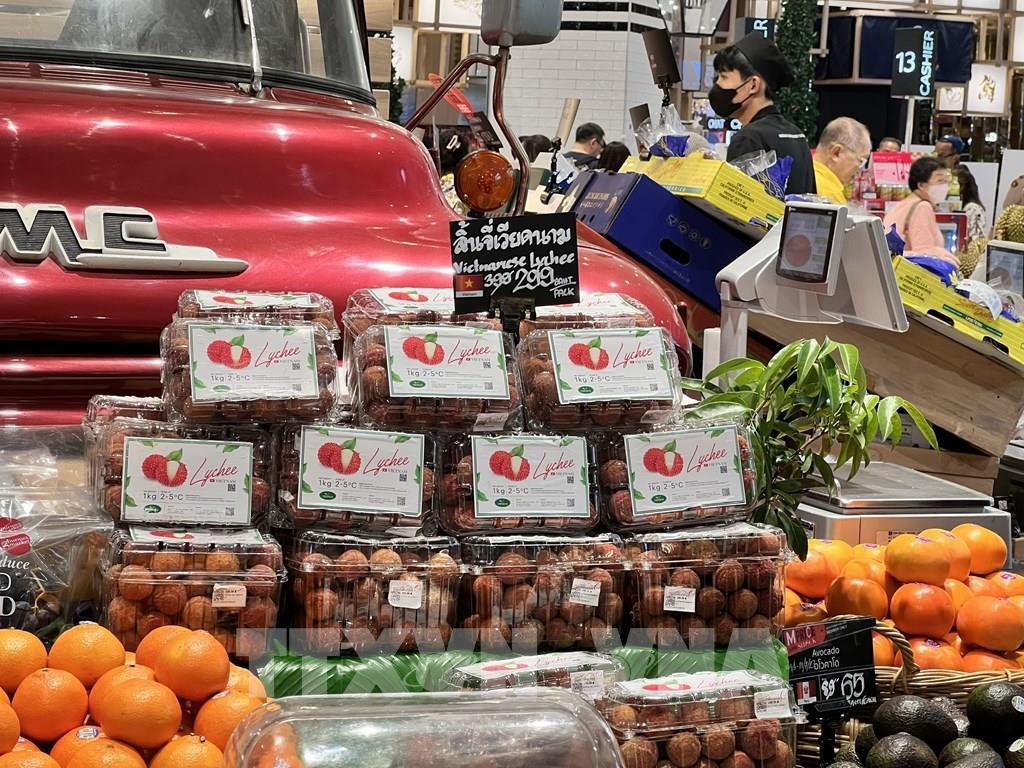 Promouvoir le soutien en faveur des entreprises vietnamiennes en Thaïlande