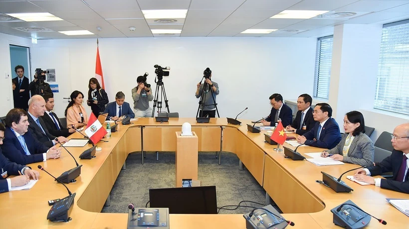 Le ministre des Affaires étrangères Bui Thanh Son poursuit ses activités en France