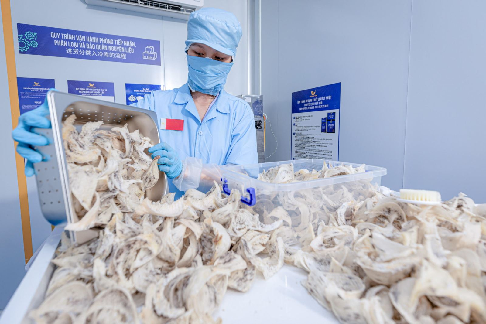 Exportation du premier lot de nids de salanganes vers la France