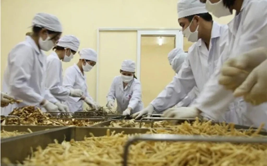 Le PM ordonne de supprimer les difficultés liées à l exportation de matériel médical
​