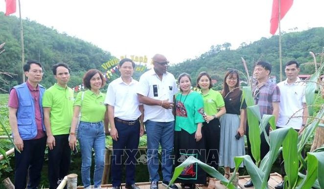 La FAO soutient le développement de l agriculture et de la sylviculture à Bac Kan