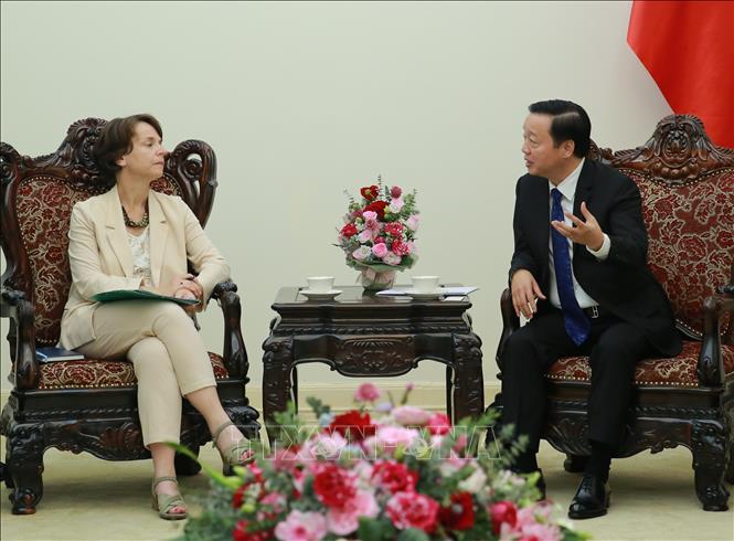 Les informations marquantes du 17 mai