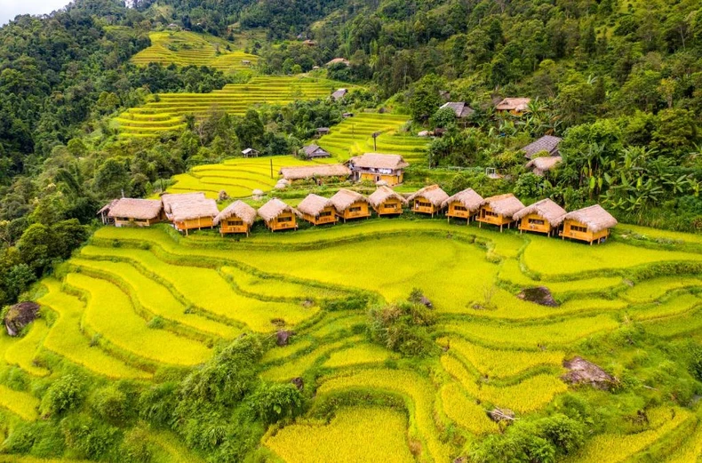 Booking com des destinations de rêve pour une escapade durable au Vietnam en 2024