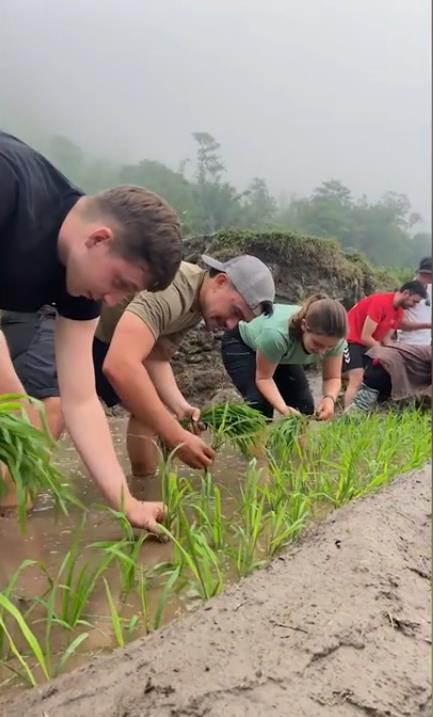 Les touristes étrangers vont aux champs de rizières avec enthousiasme à Sa Pa
