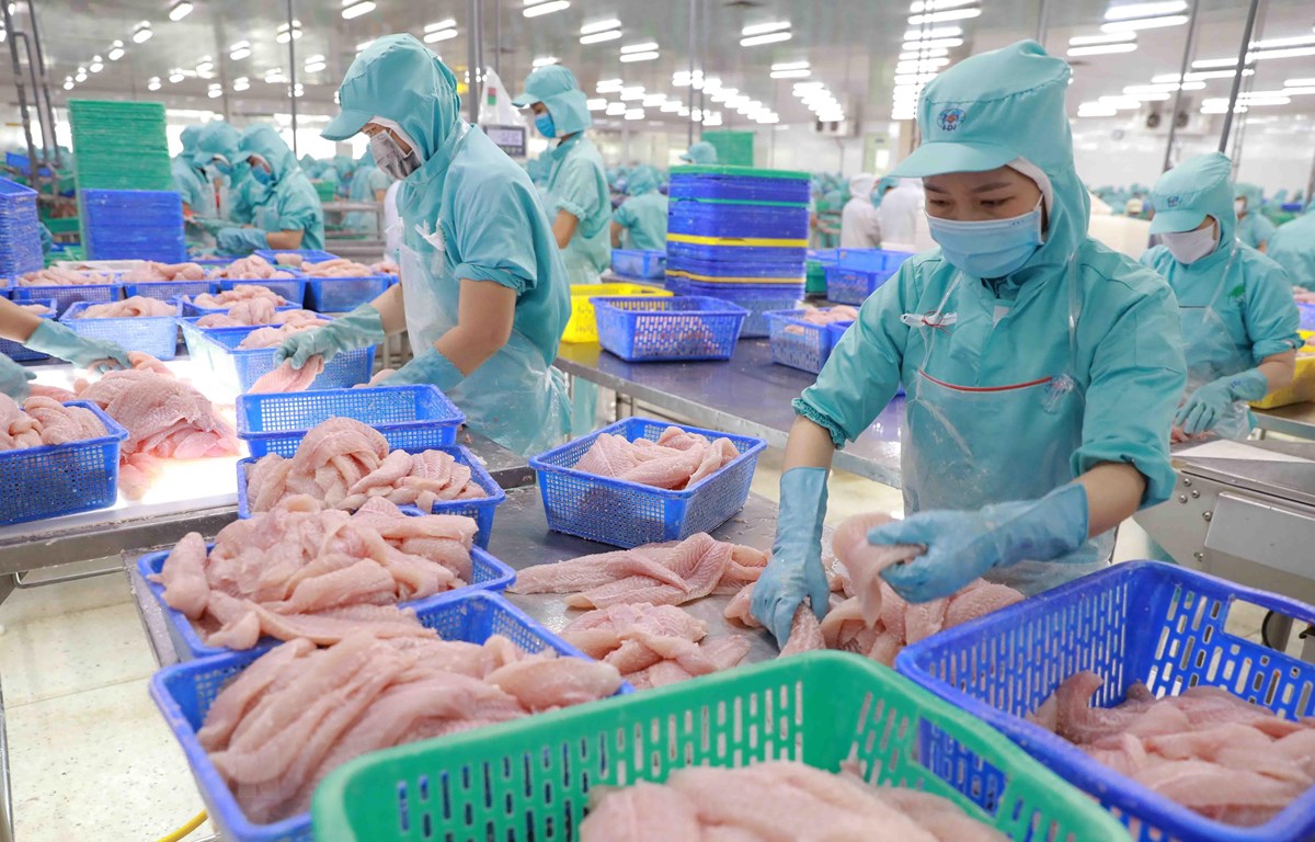 La Chine reste le plus grand importateur de pangasius vietnamien