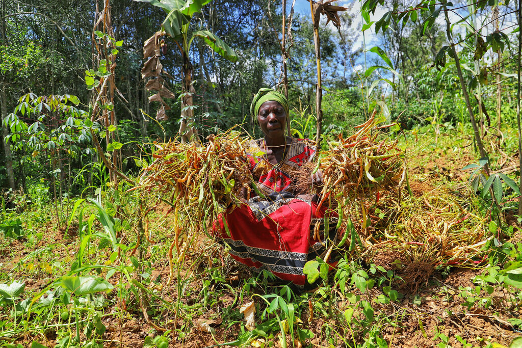 La dégradation des sols et la sécheresse menacent la sécurité des personnes