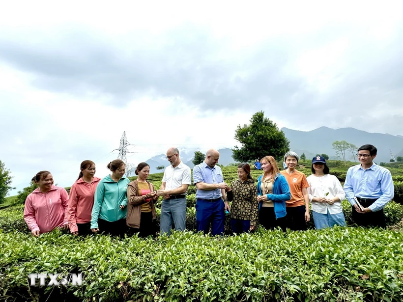 Les entreprises canadiennes s’intéressent de près au marché vietnamien
