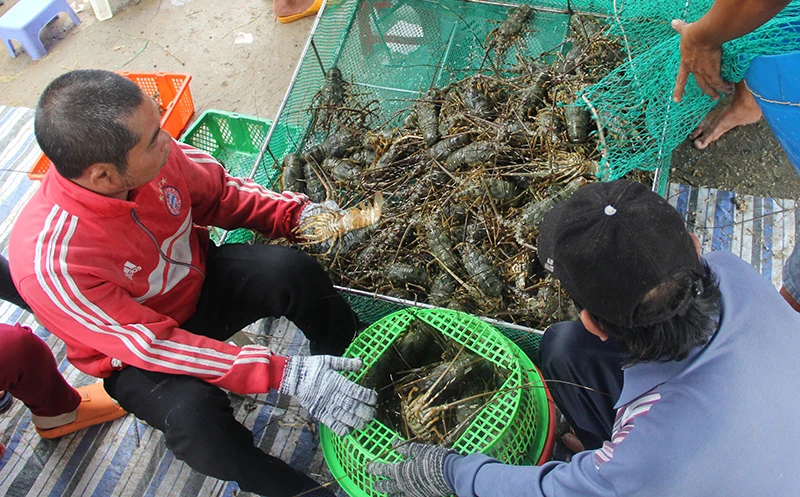 Les informations marquantes du 13 juin