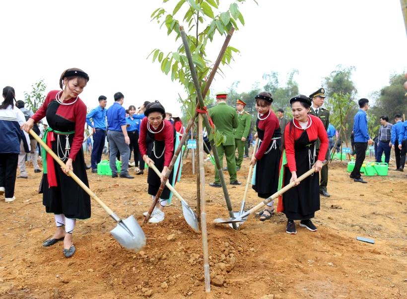 Tuyen Quang achève son plan de plantation d arbres
